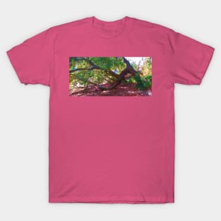 Taking a Bough T-Shirt